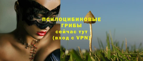 гашик Нижневартовск