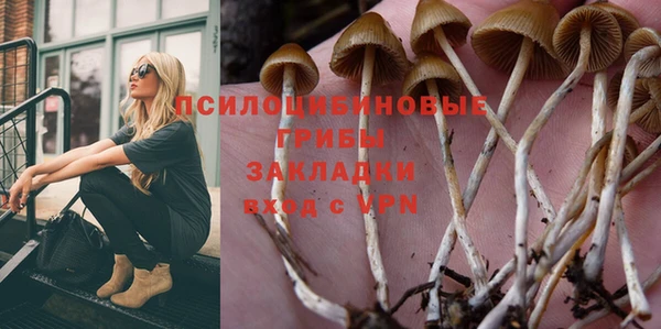 прущая мука Лиски