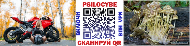 Галлюциногенные грибы мухоморы Дубна