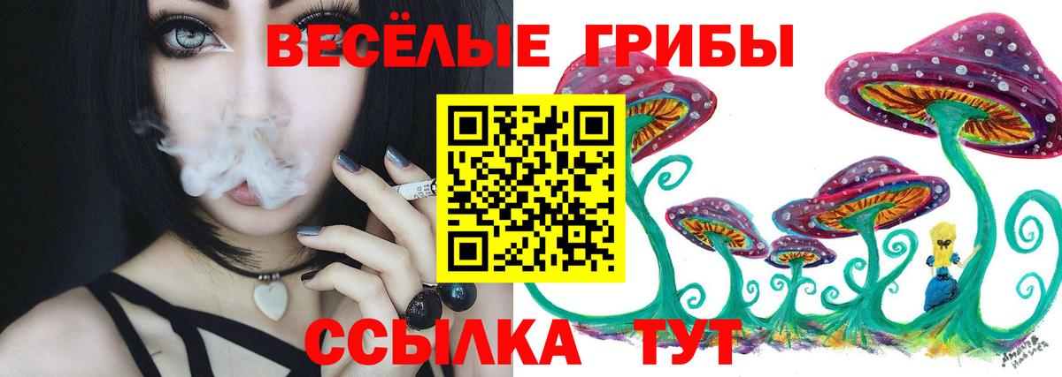 Псилоцибиновые грибы ЛСД Дубна
