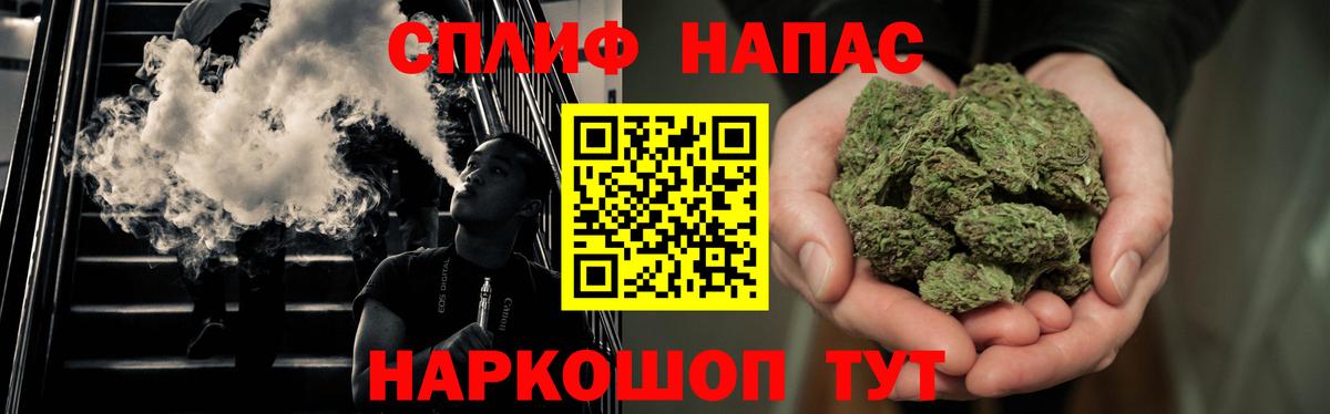 Бошки марихуана сатива Дубна
